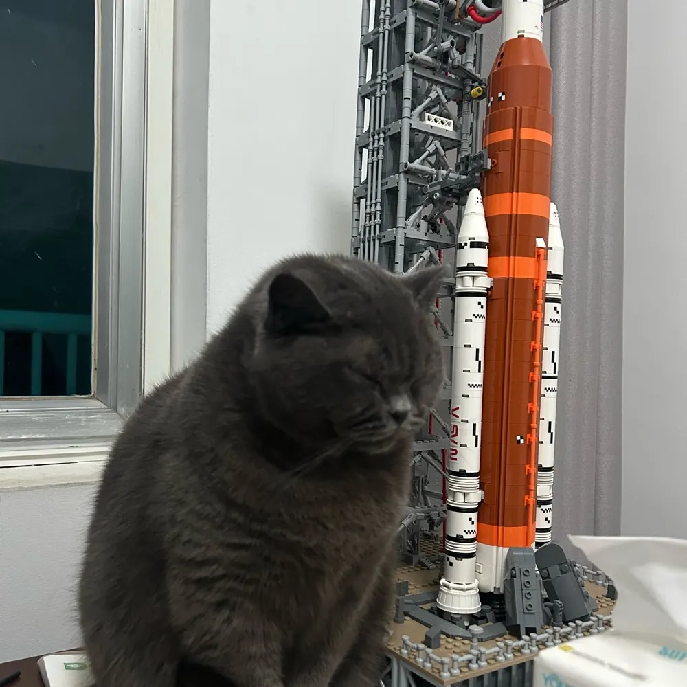 roguemeteor.bsky.social's profile picture