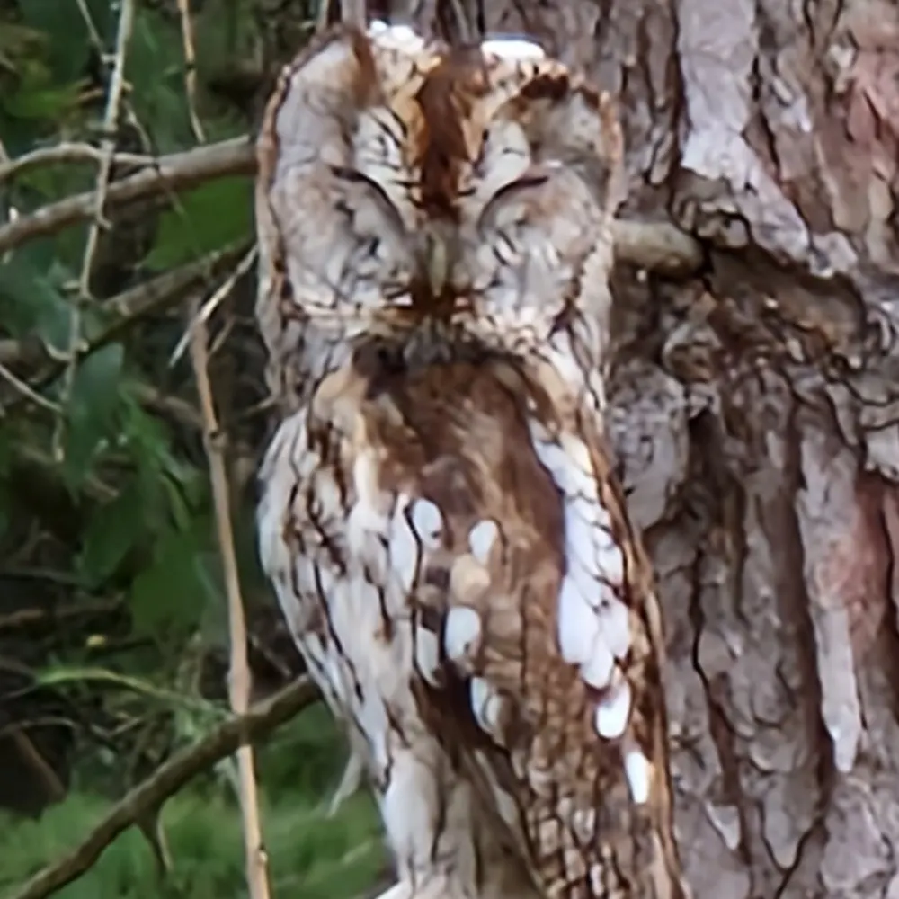 julianfday.bsky.social's profile picture