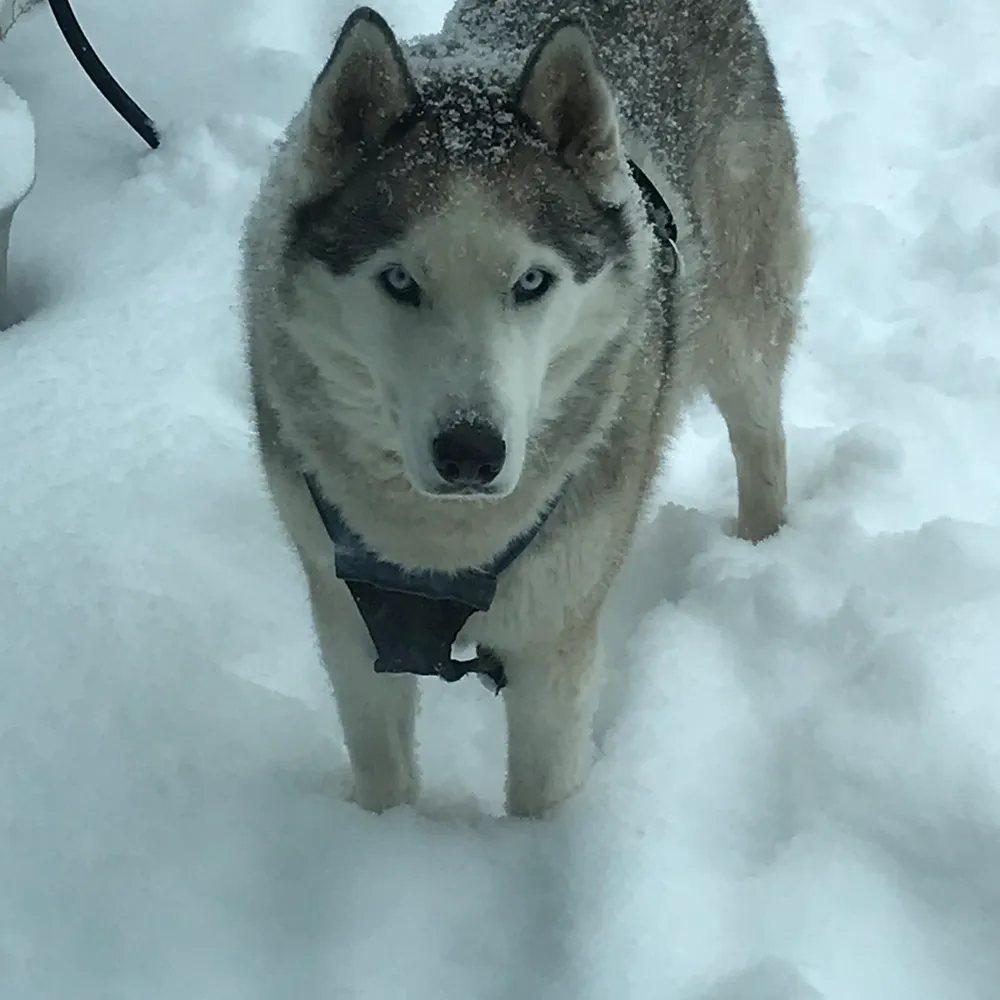 cranberryhorn.bsky.social's profile picture