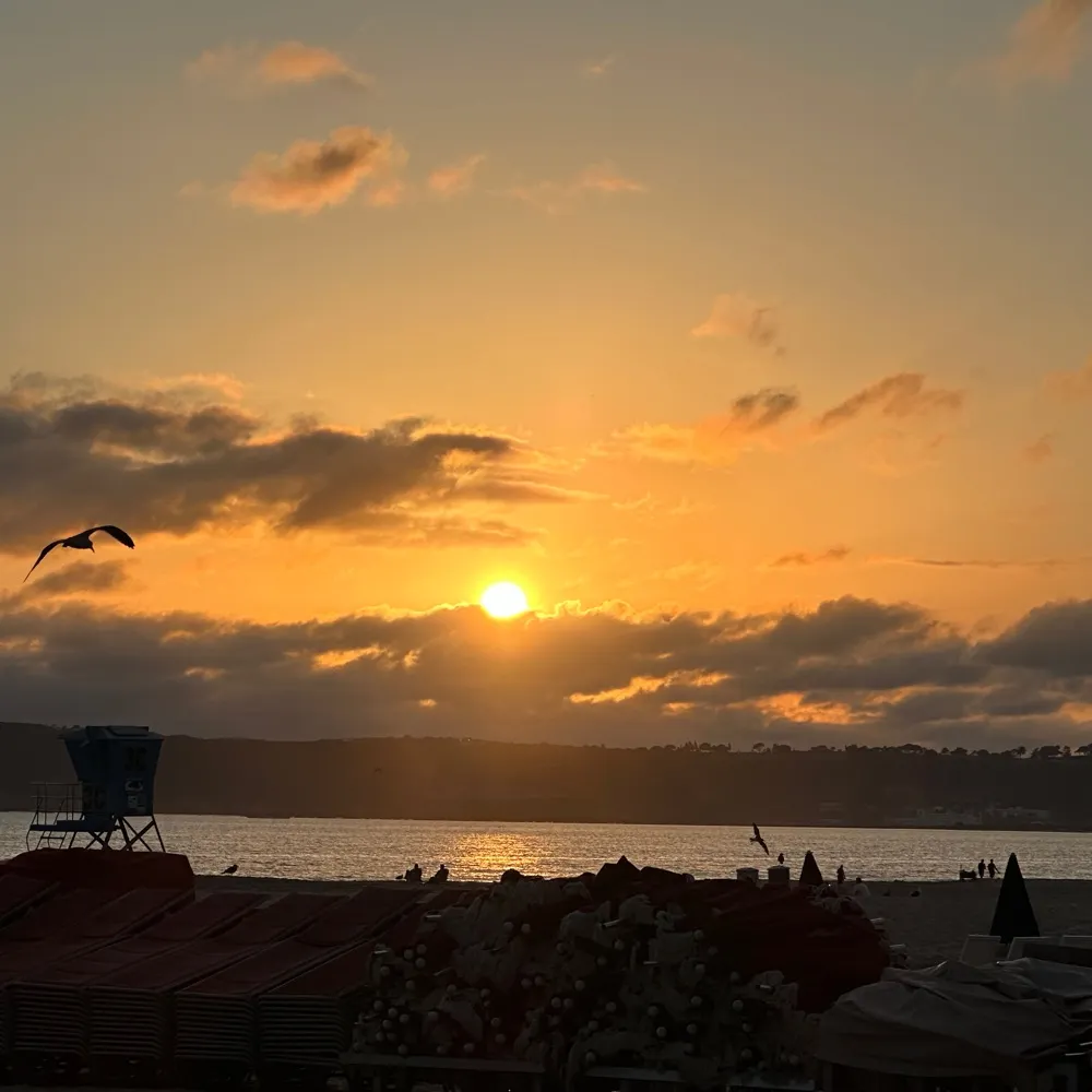 annabana.bsky.social's profile picture