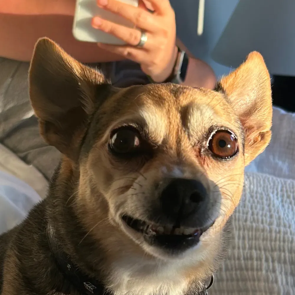 sockandsandals.bsky.social's profile picture