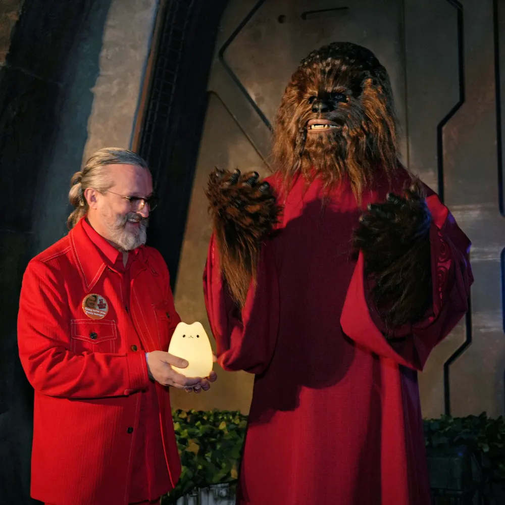 wandagagscats.bsky.social's profile picture