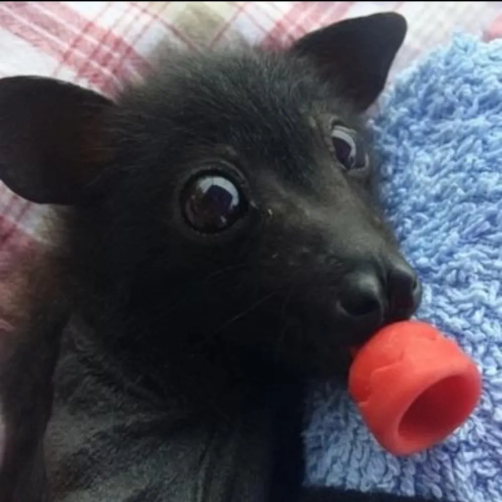 erniehmgy.bsky.social's profile picture