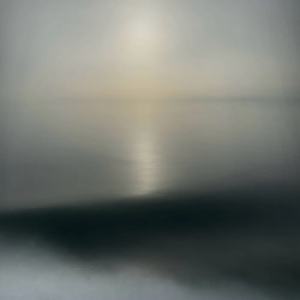 tiny-direwolf.bsky.social's profile picture