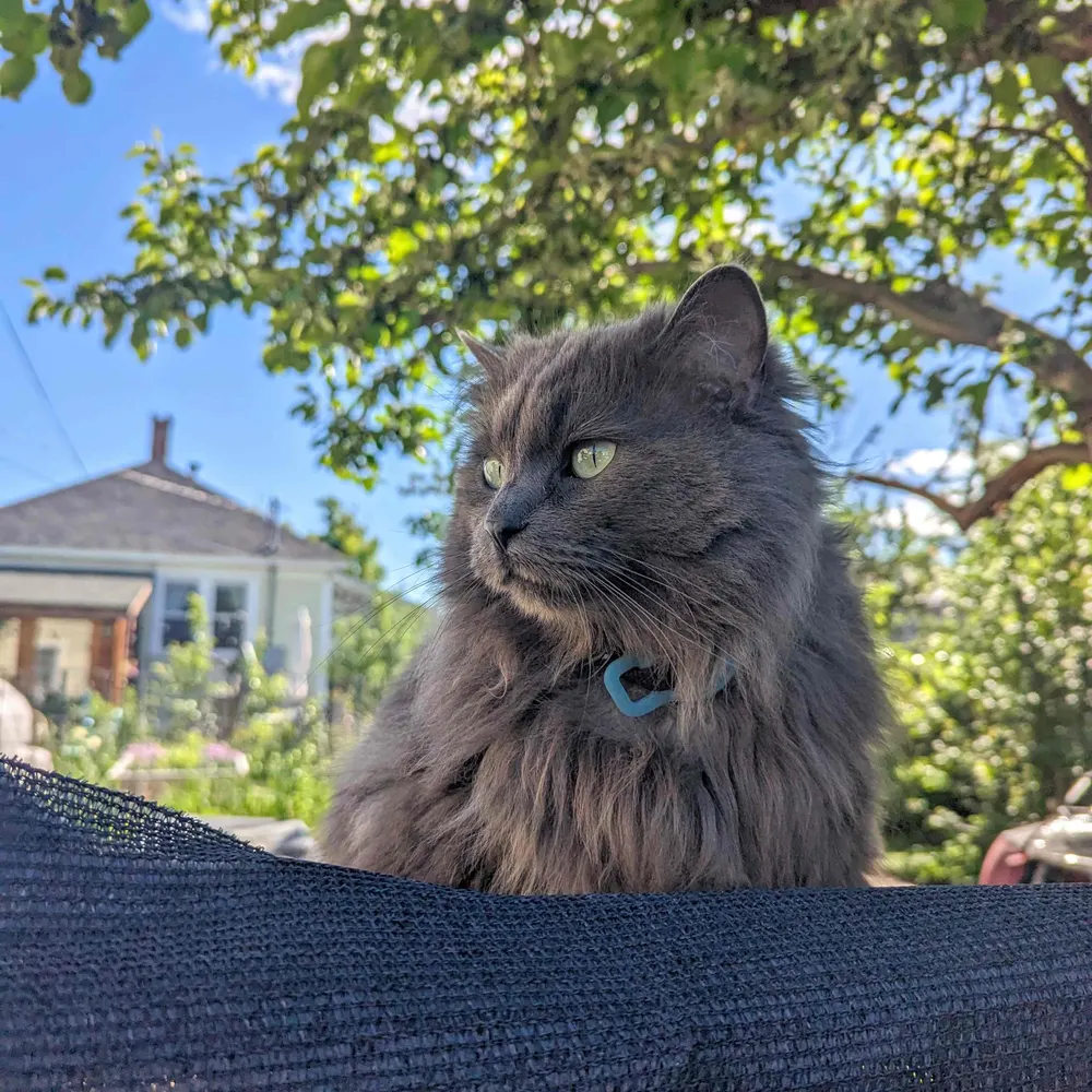 cmf406.bsky.social's profile picture