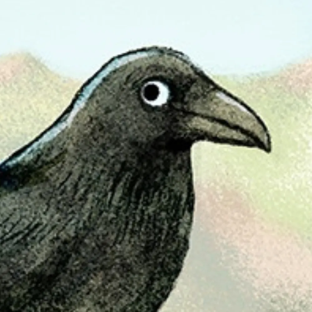 jankoraven.bsky.social's profile picture