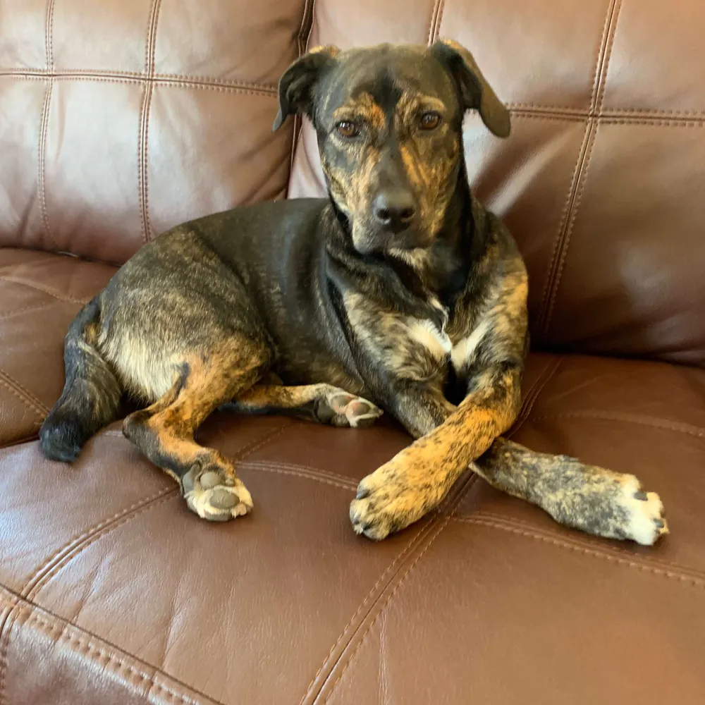 leemarvinoswald.bsky.social's profile picture