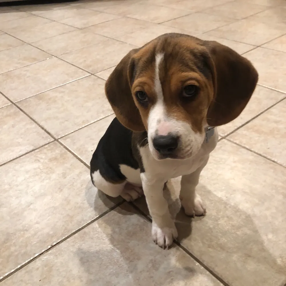 falseprophets.bsky.social's profile picture