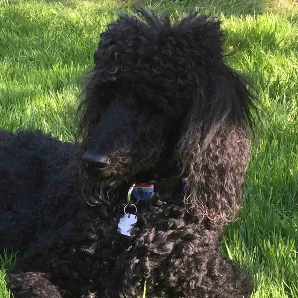 dwcisme.bsky.social's profile picture