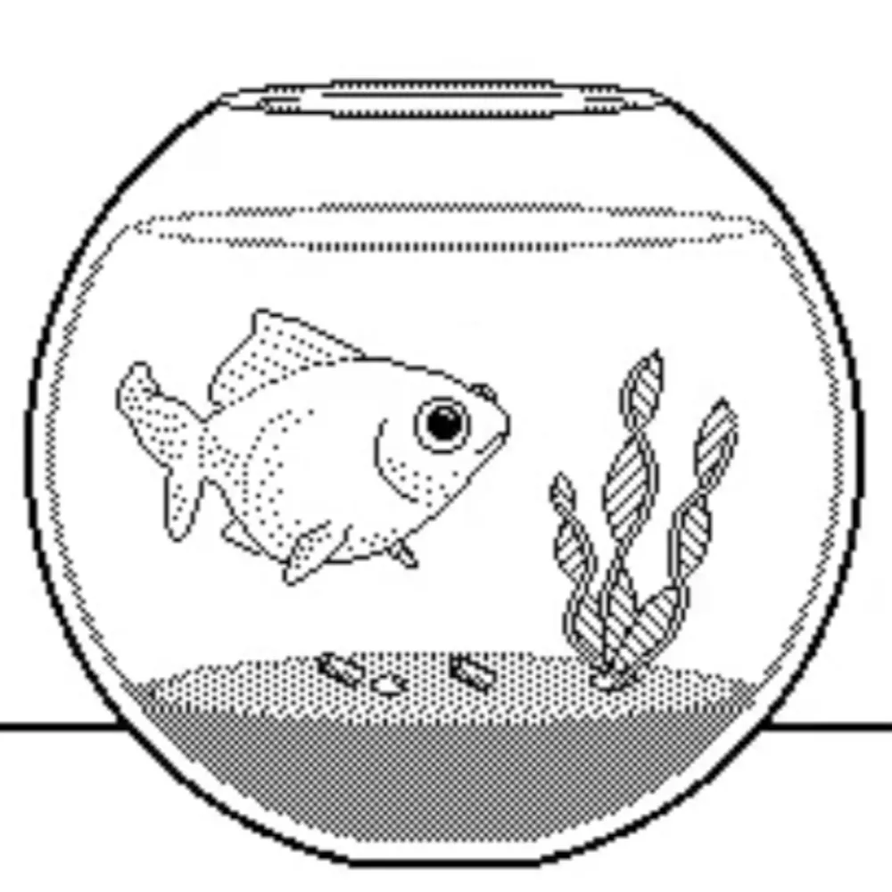 cbtbiscuit.bsky.social's profile picture