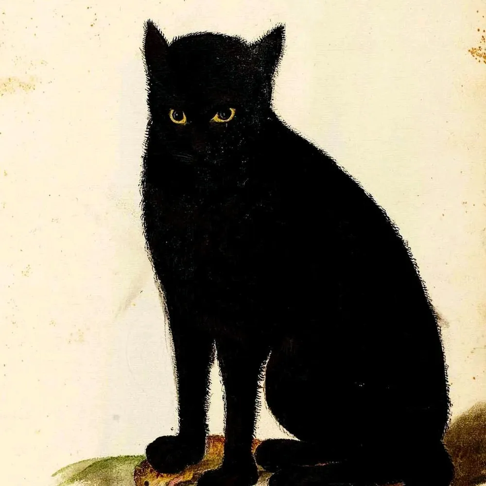 droseph.bsky.social's profile picture