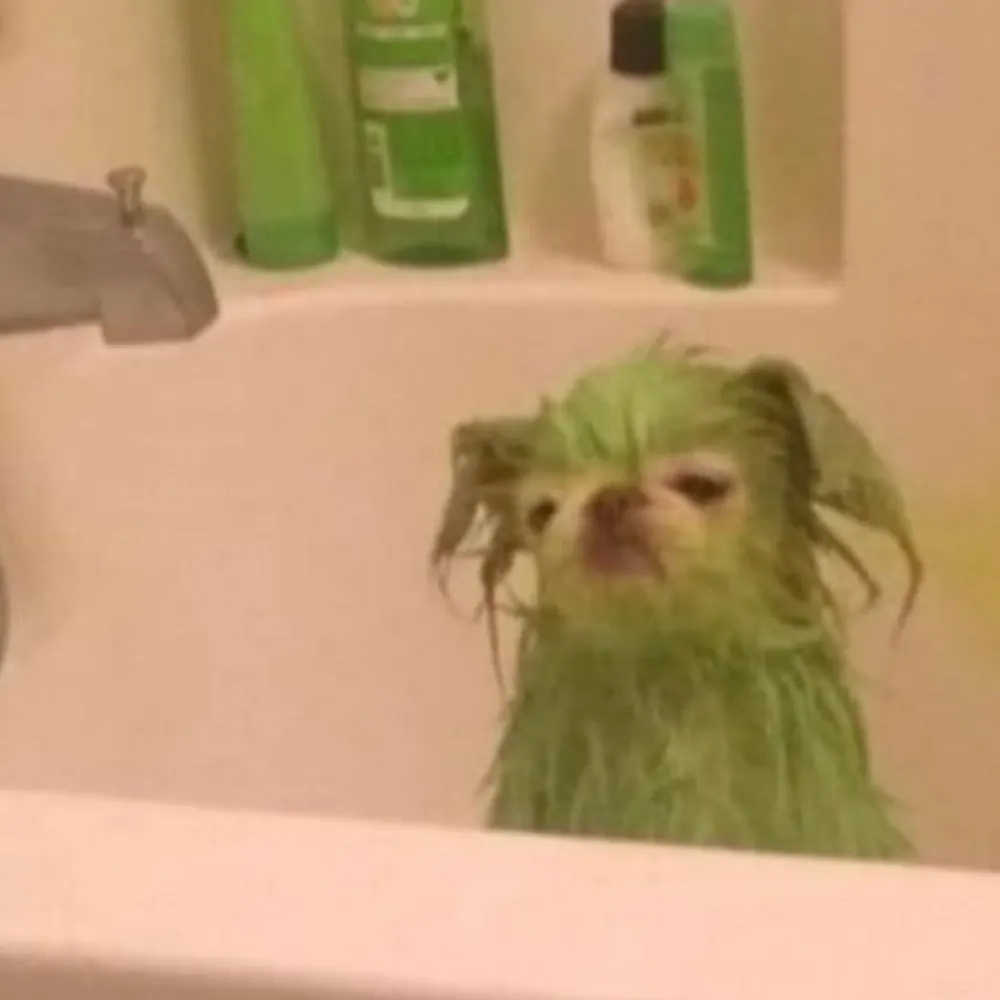 magiclanternmoth.bsky.social's profile picture