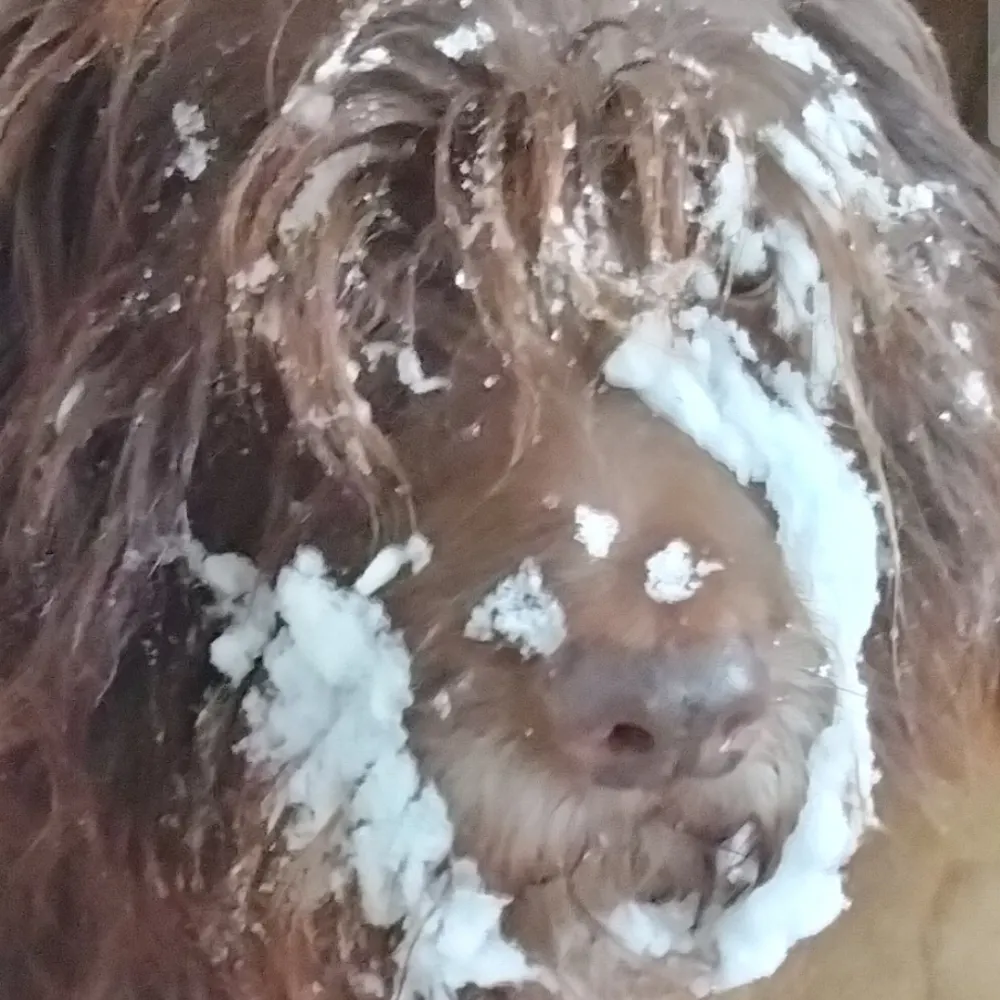 eggbotme.bsky.social's profile picture