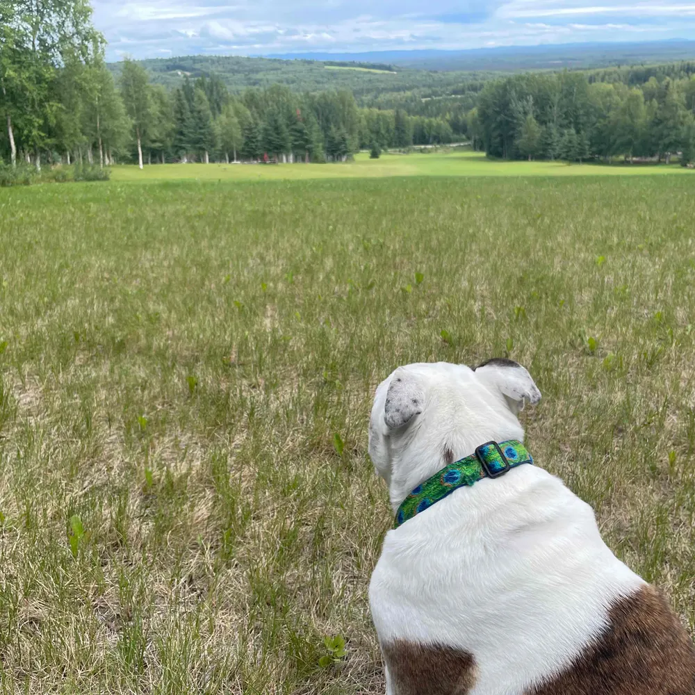 matthewbriceak.bsky.social's profile picture