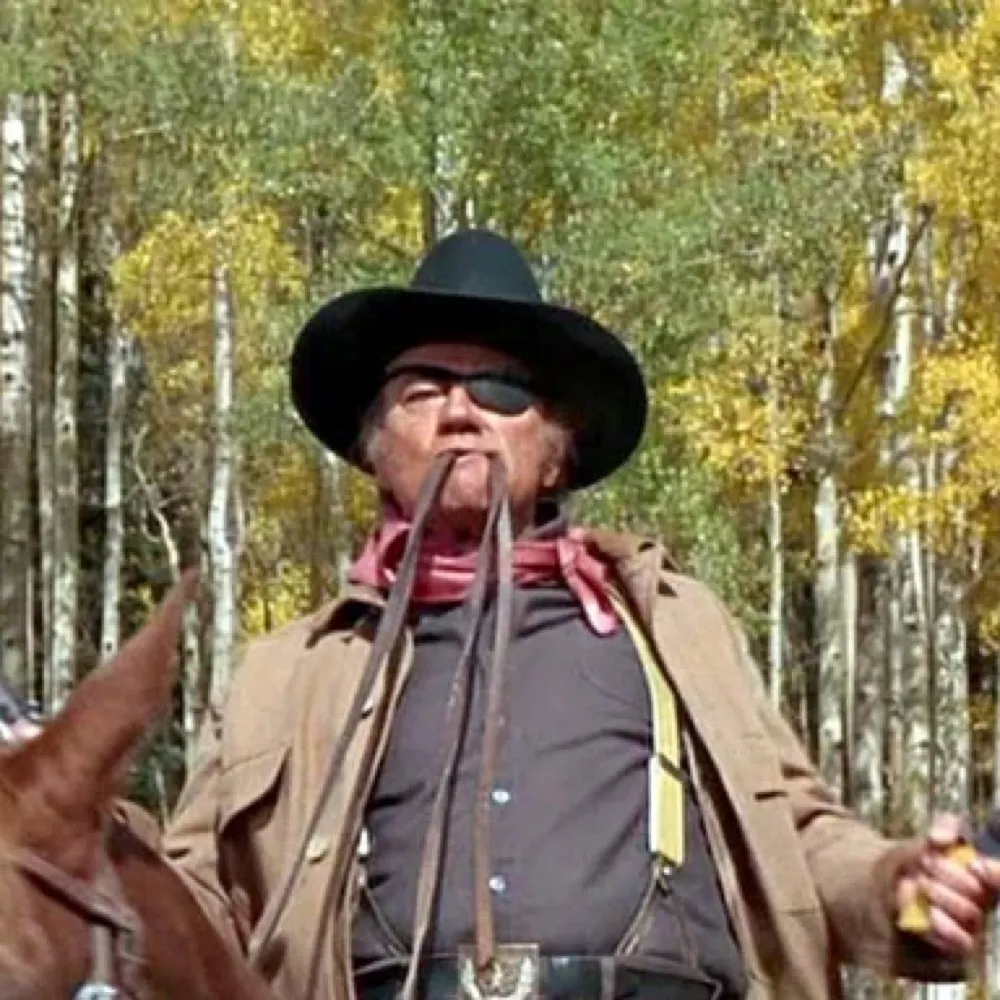 sillythecat.bsky.social's profile picture