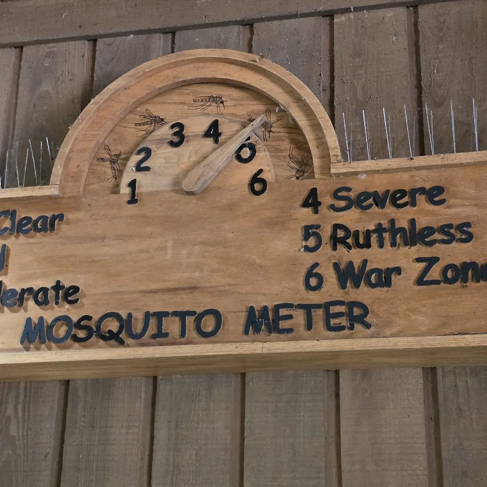 gotobednerd.bsky.social's profile picture