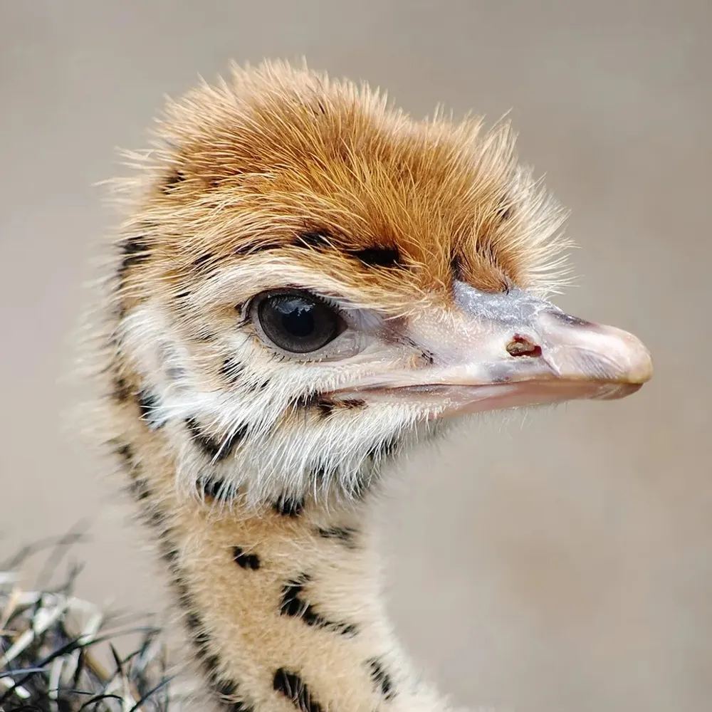 ignorantme.bsky.social's profile picture