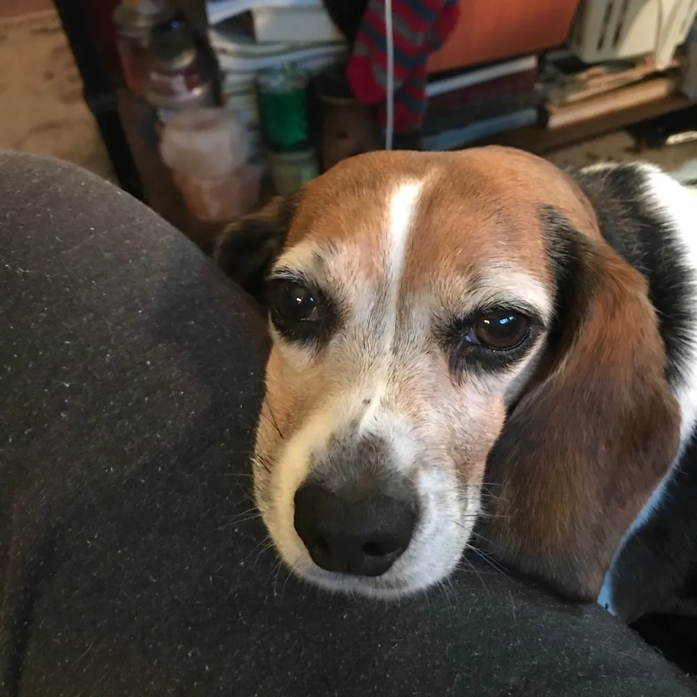 lilybet5260.bsky.social's profile picture