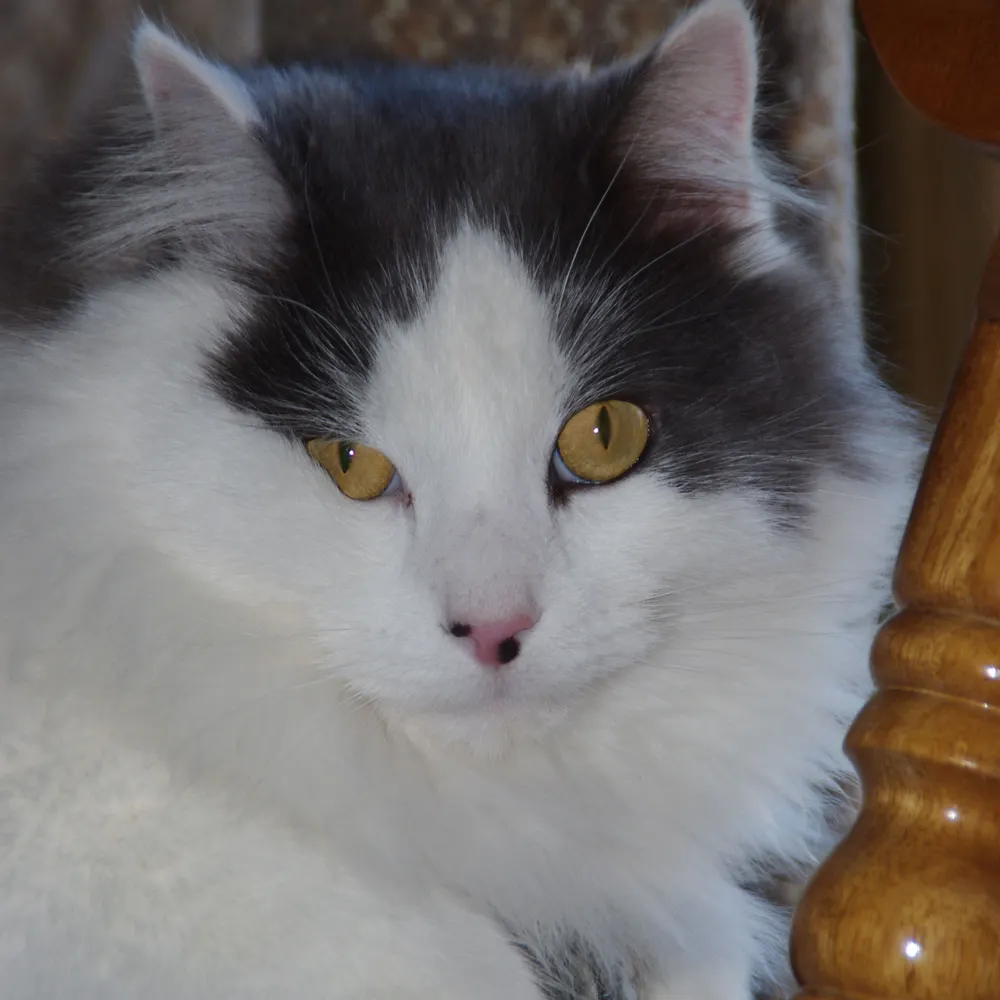 ctubbs.bsky.social's profile picture