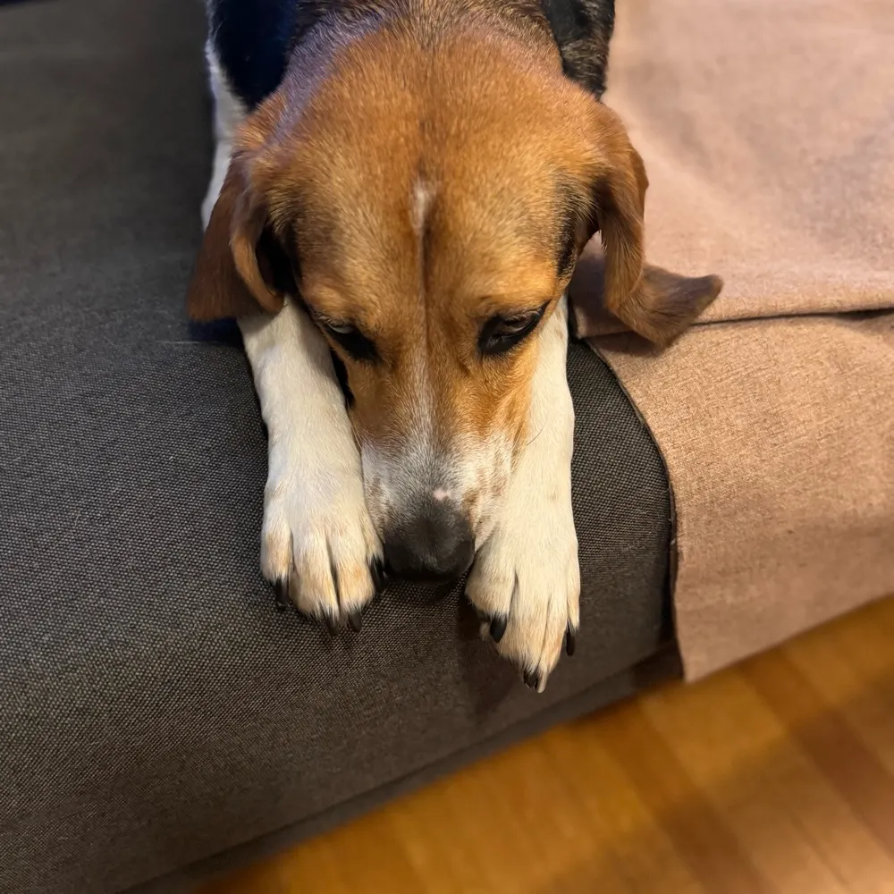 newzealander1.bsky.social's profile picture