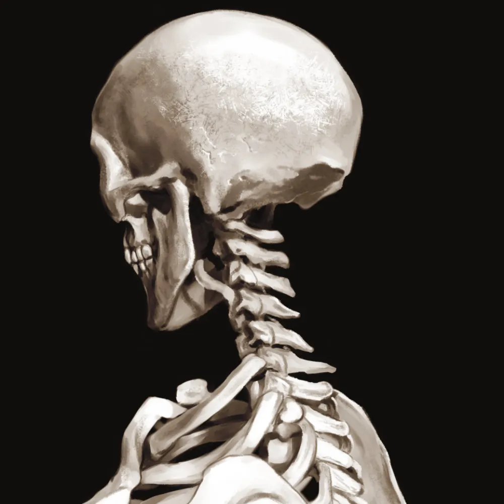 juliabaritz.bsky.social's profile picture