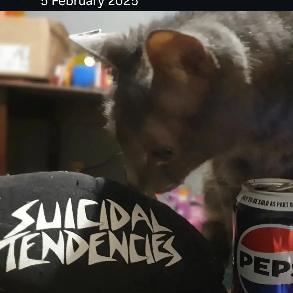 itsameitsayou.bsky.social's profile picture