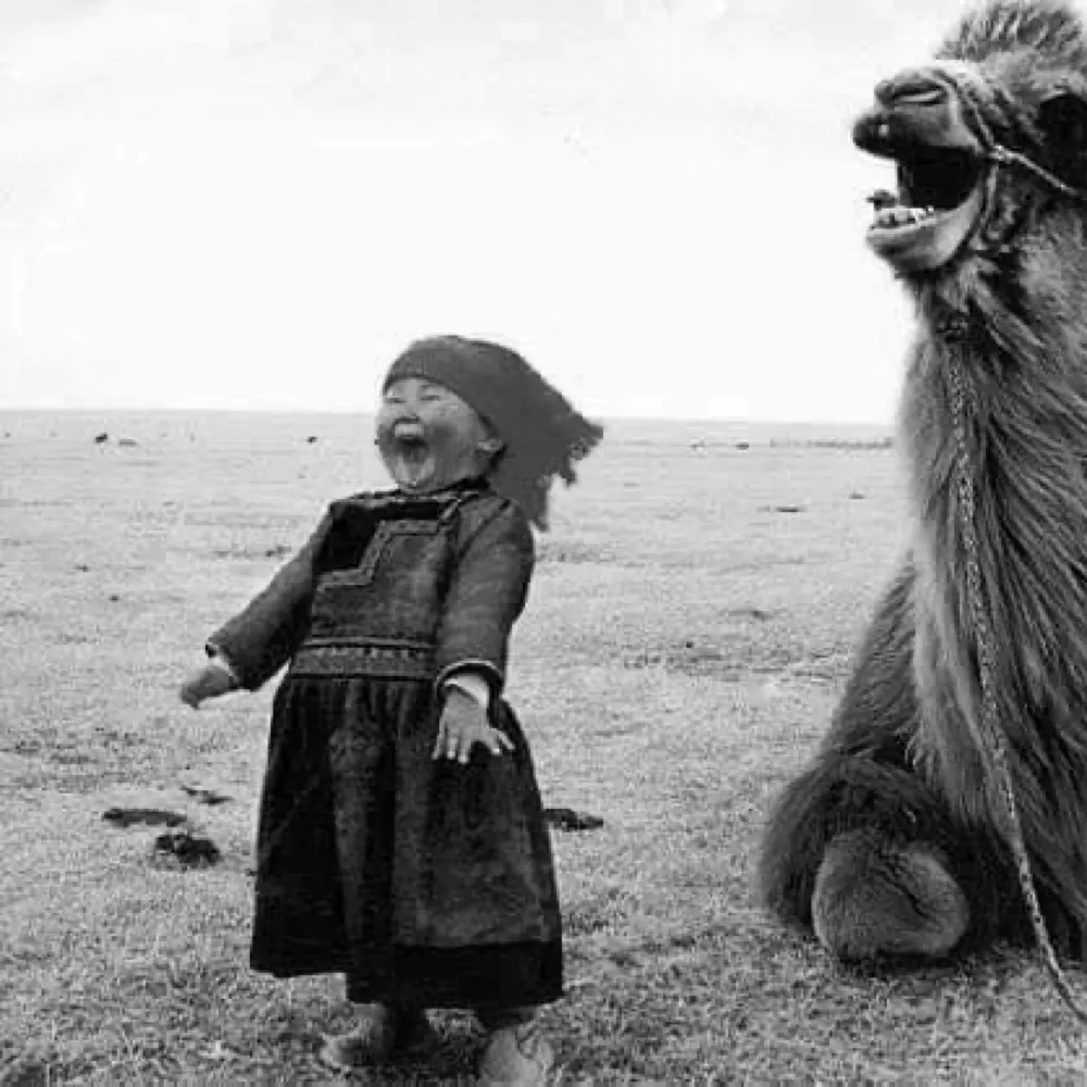 wafflesdad.bsky.social's profile picture