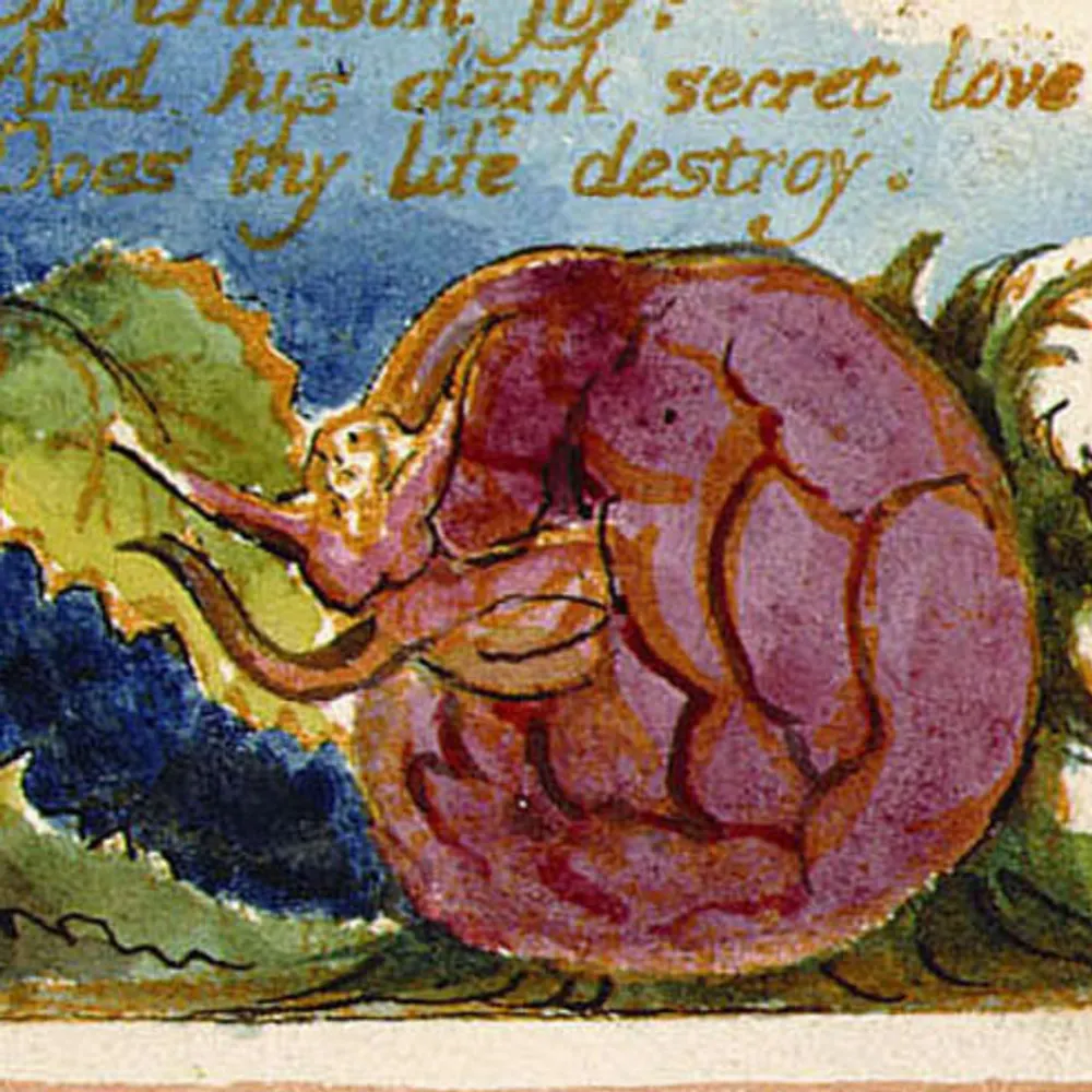 tbone.malware-virus.biz's profile picture