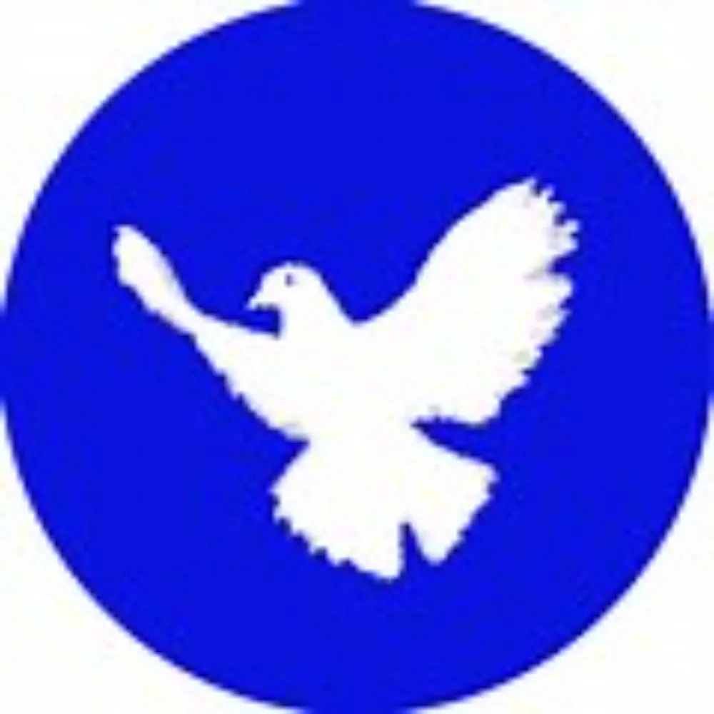 kamika.bsky.social's profile picture