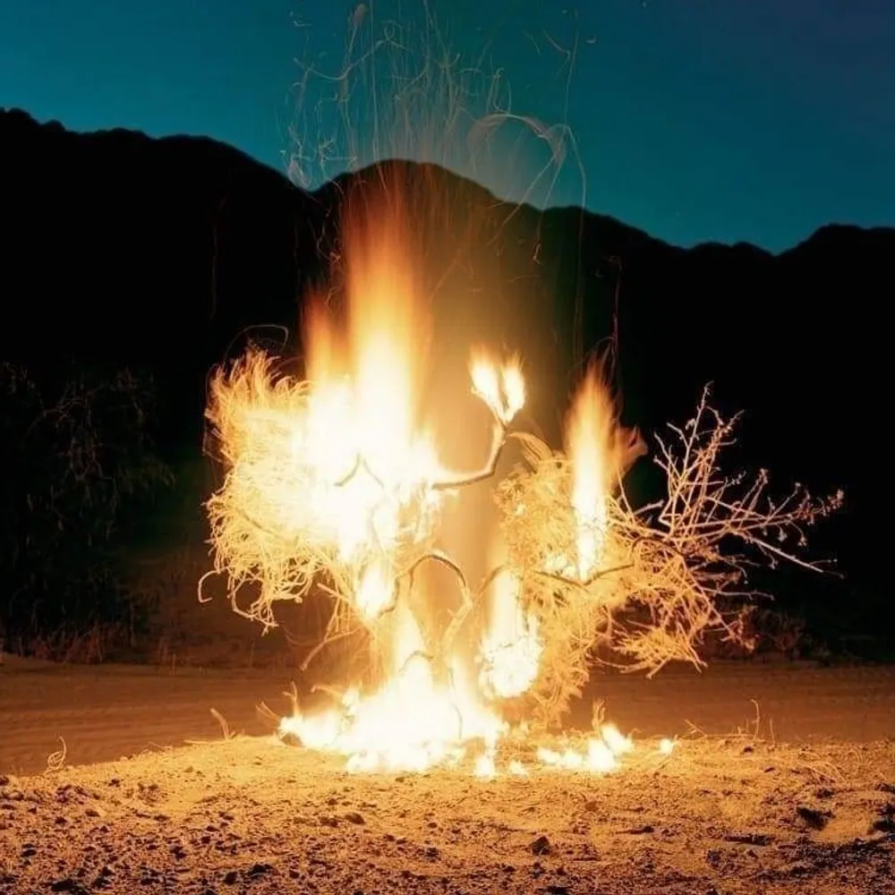 castawayfarm.bsky.social's profile picture