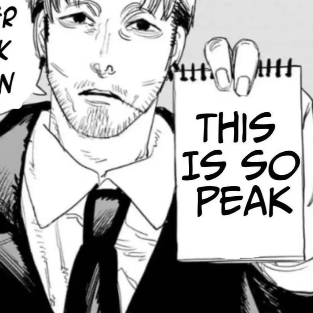 frikismepur.bsky.social's profile picture