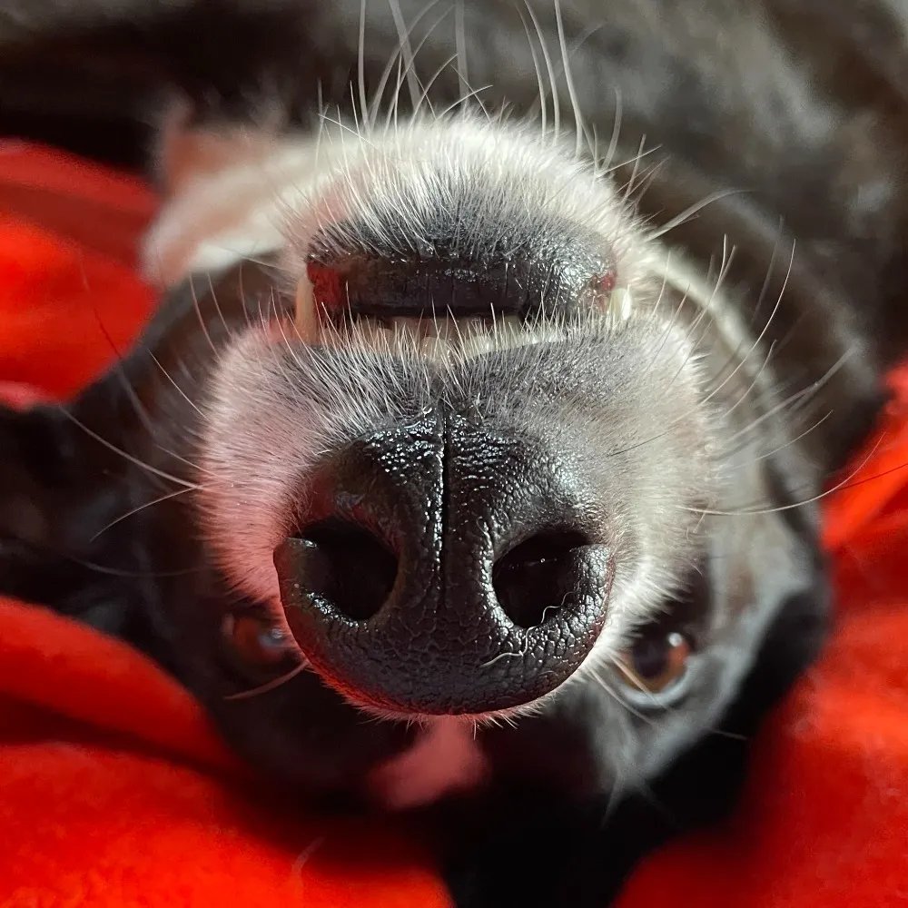 cindybax.bsky.social's profile picture