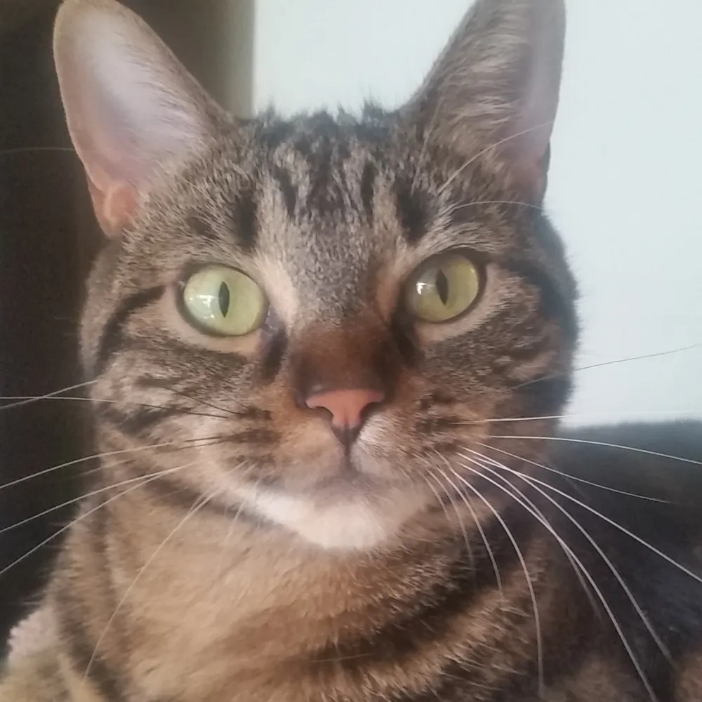 lorimcg.bsky.social's profile picture