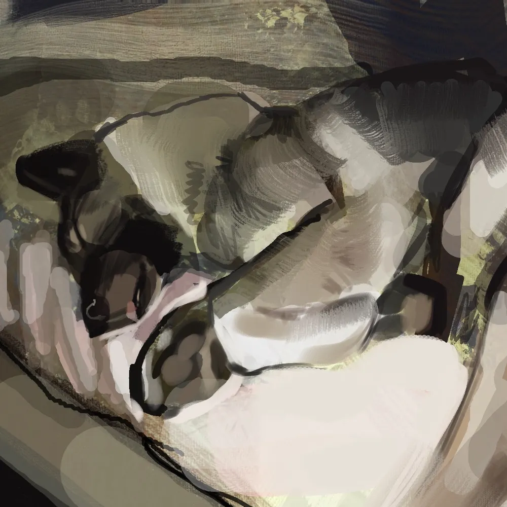 mokejumps.bsky.social's profile picture