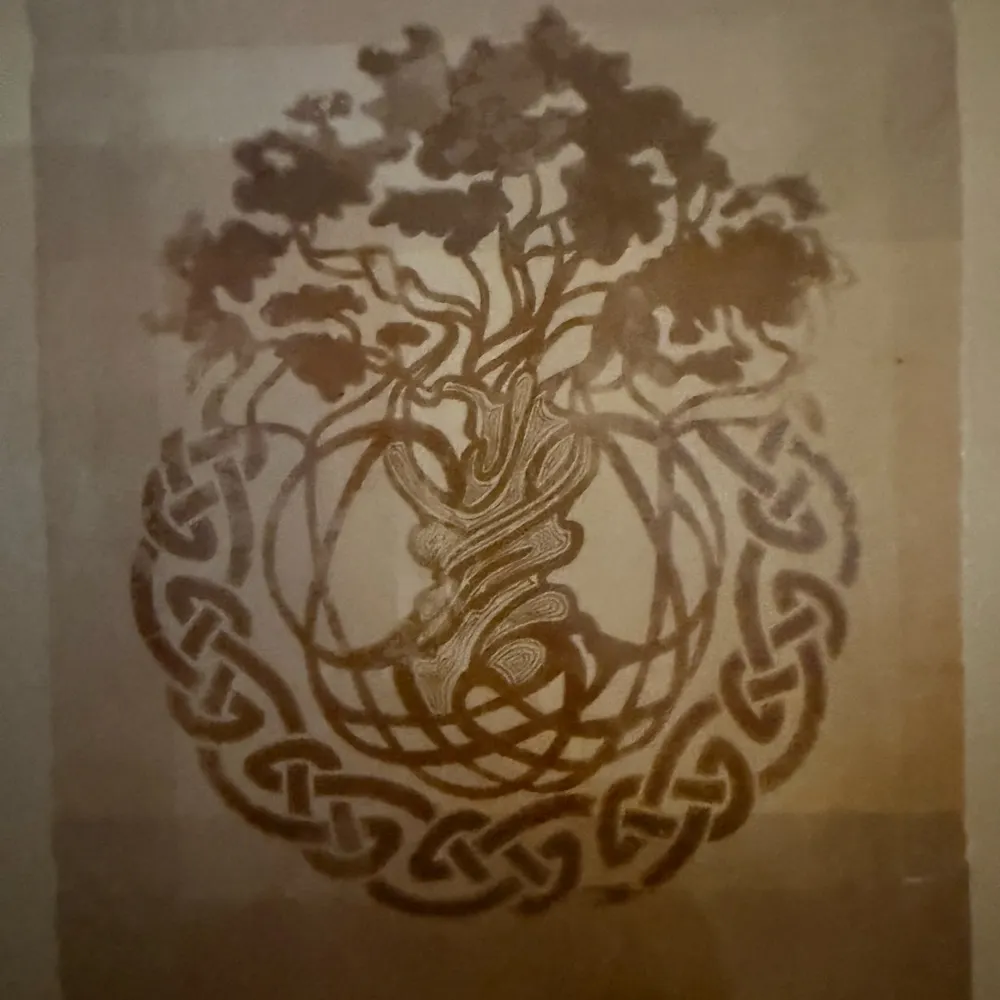 januszwielebny.bsky.social's profile picture