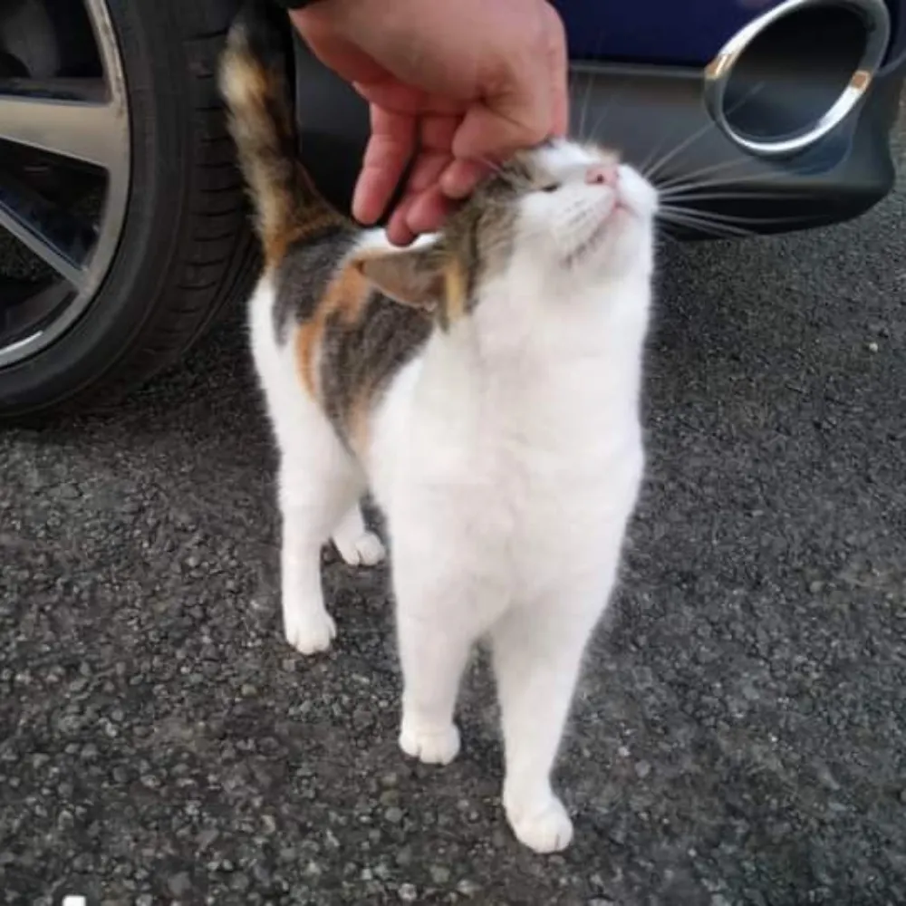 tehbob.bsky.social's profile picture