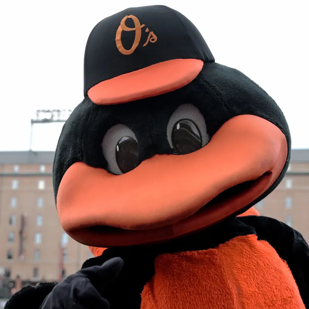 nattyboh.bsky.social's profile picture