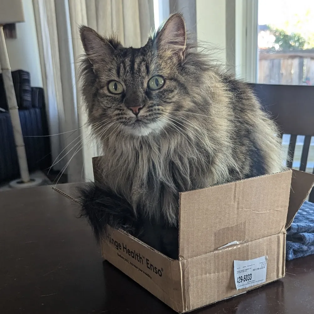 hokker3.bsky.social's profile picture