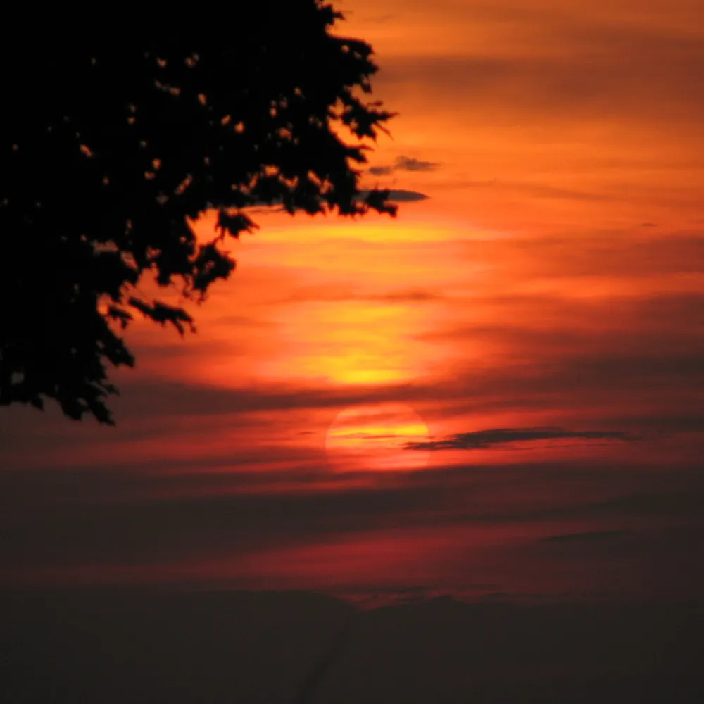 grammy1947.bsky.social's profile picture