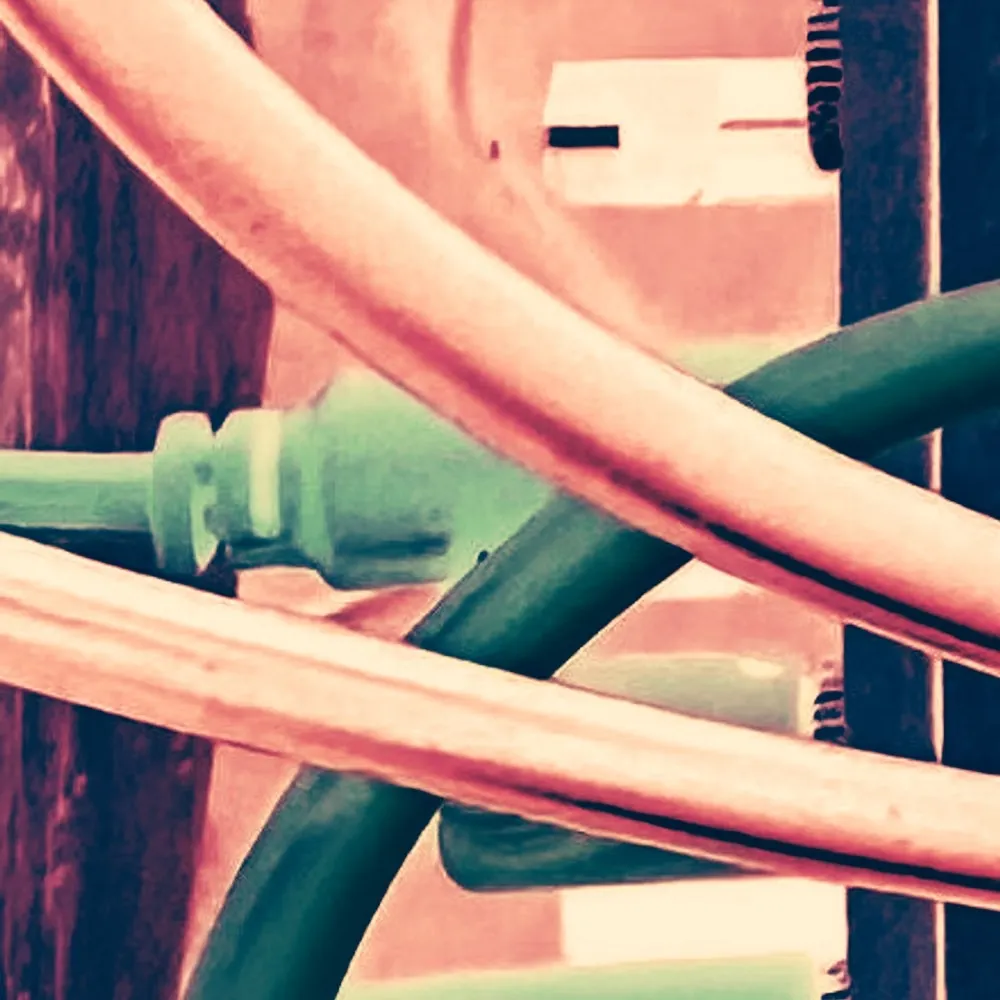 talking-sparrow.bsky.social's profile picture