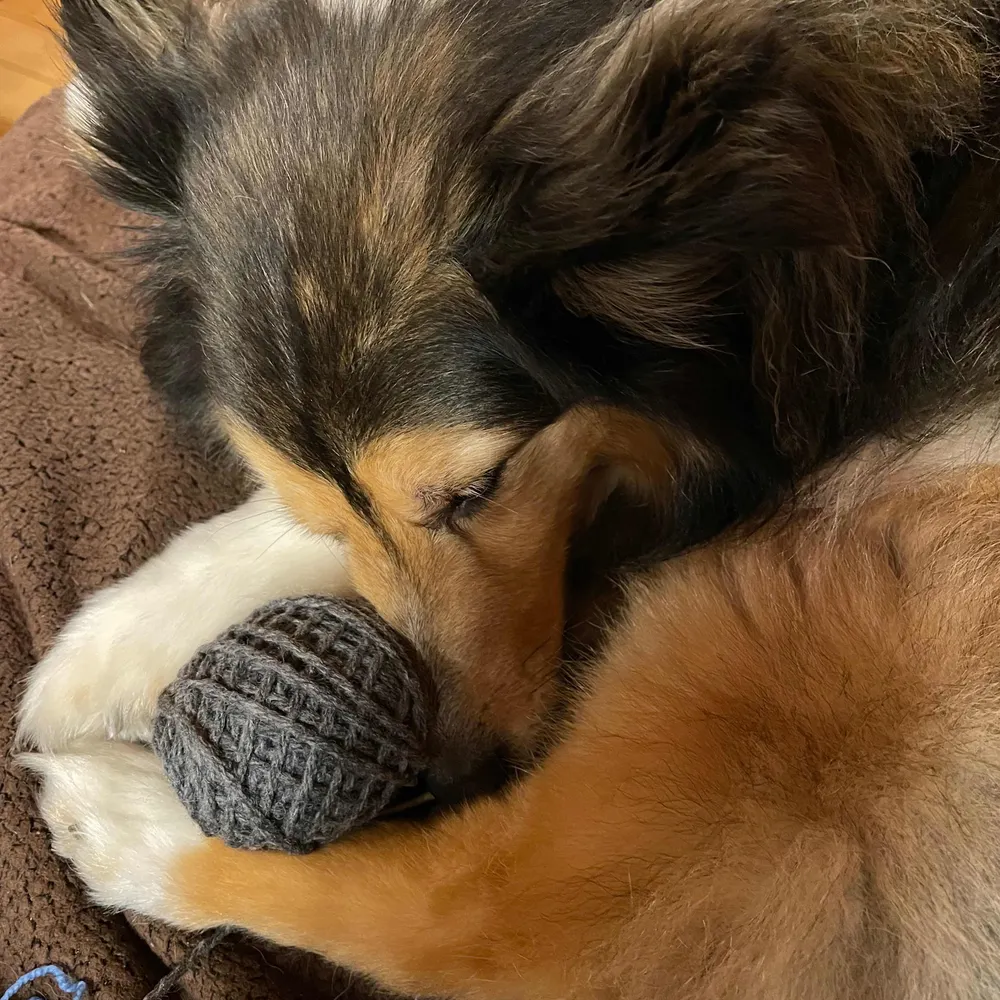 finn-cak.bsky.social's profile picture