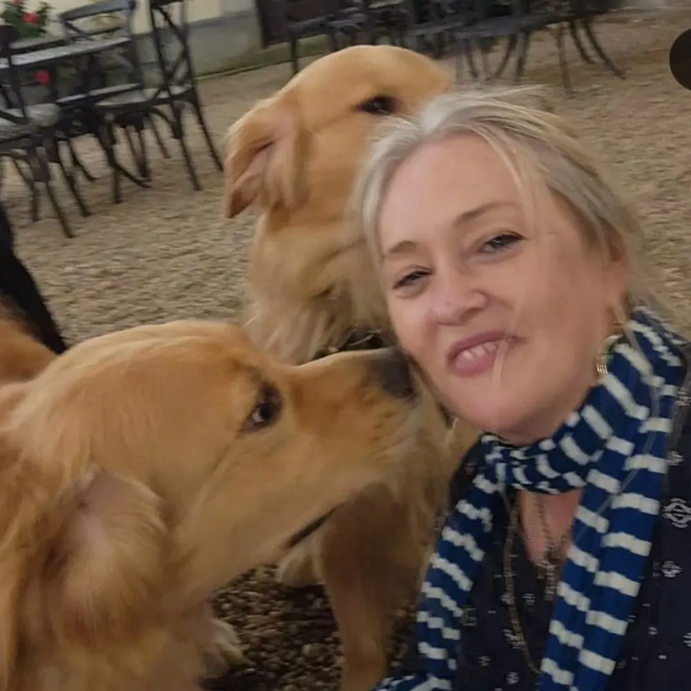 irishactivist.bsky.social's profile picture