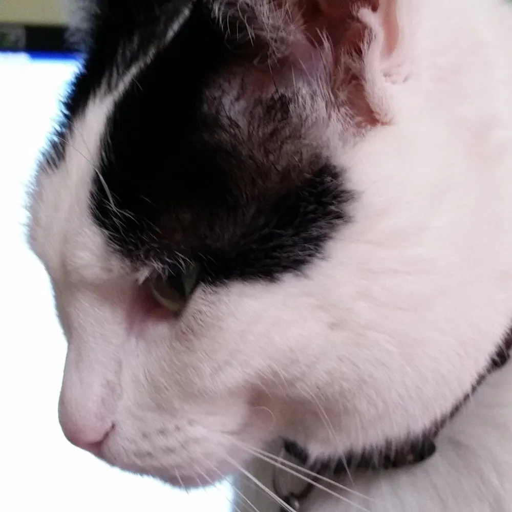 gardenia2112.bsky.social's profile picture