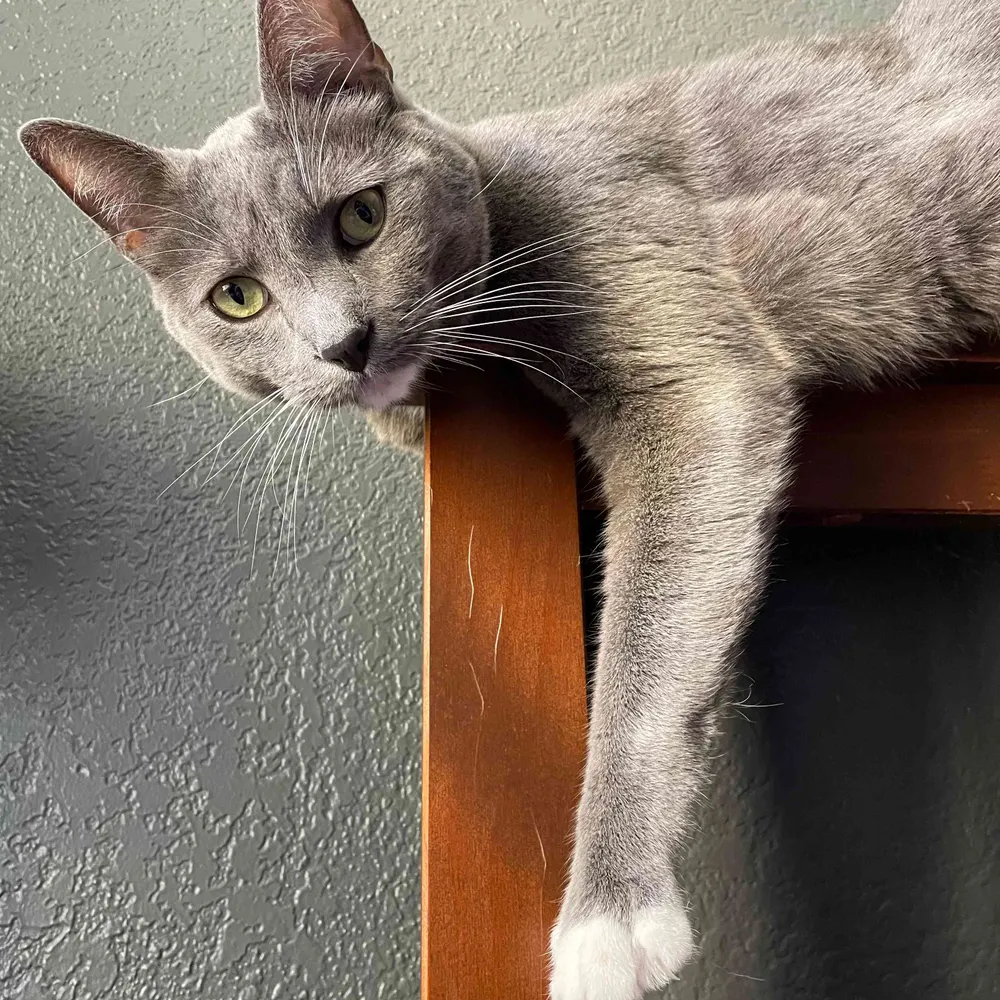 blurry-line.bsky.social's profile picture