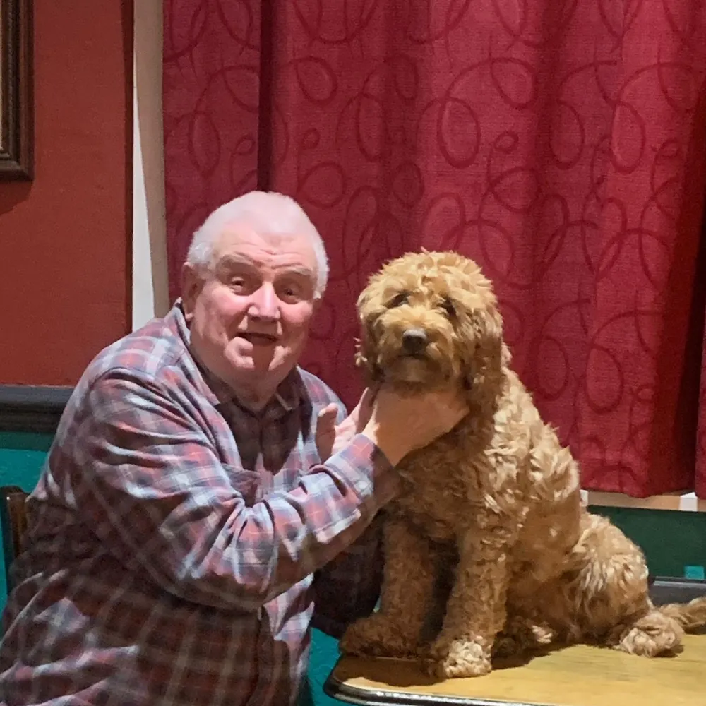 ravanelliterry.bsky.social's profile picture