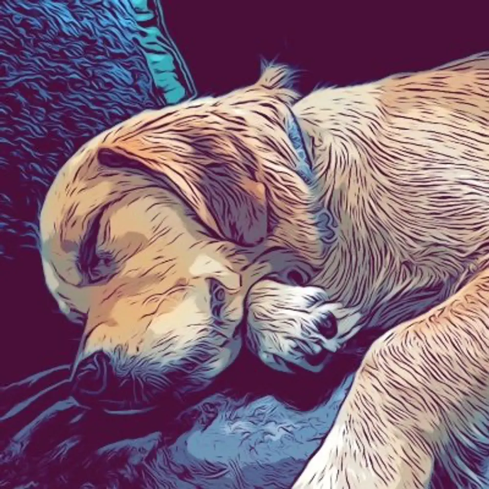 impossibl3blue.bsky.social's profile picture