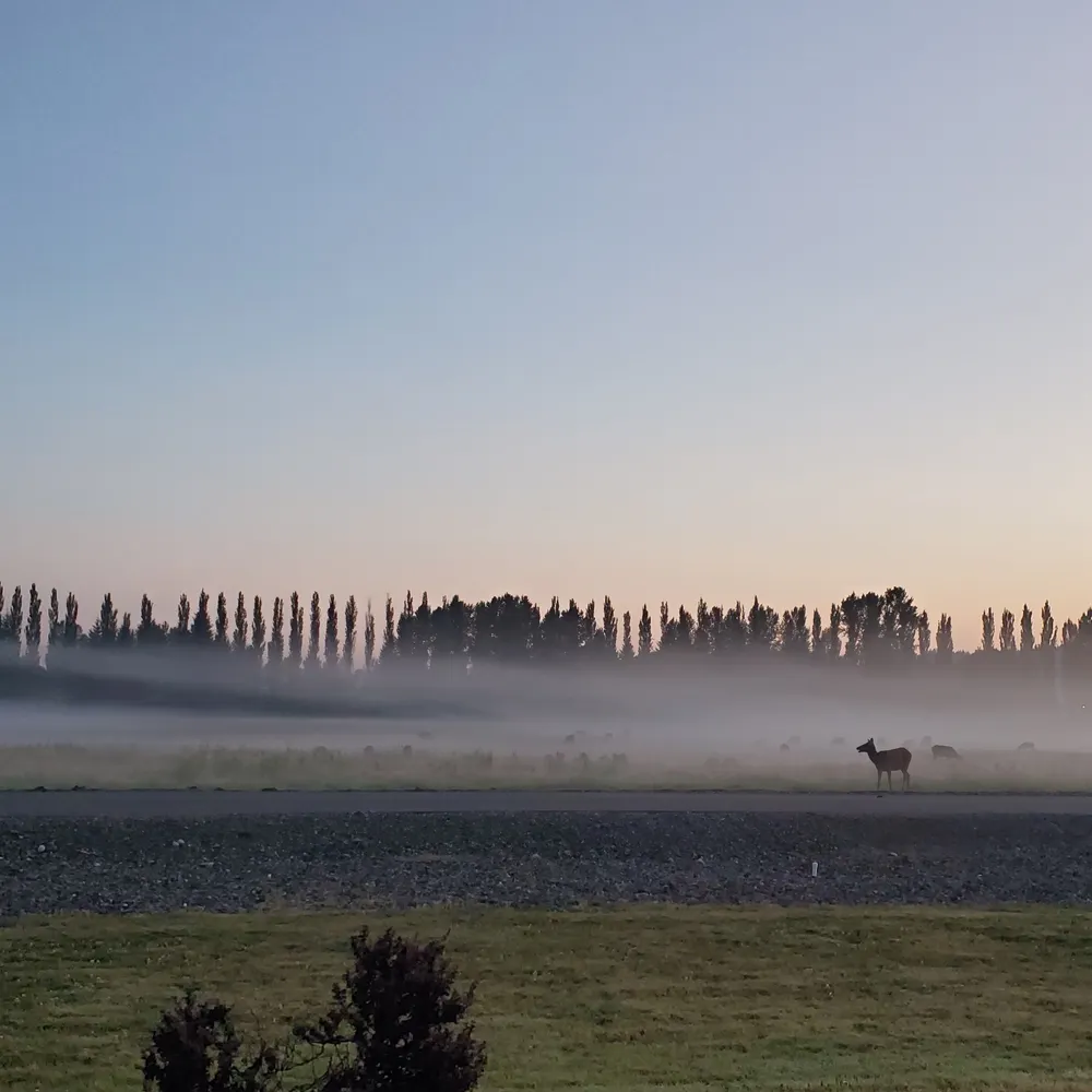 quakesbakery.bsky.social's profile picture