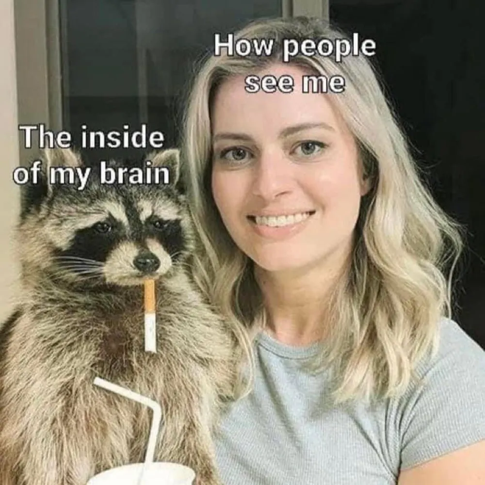 koalapiggiemomma.bsky.social's profile picture