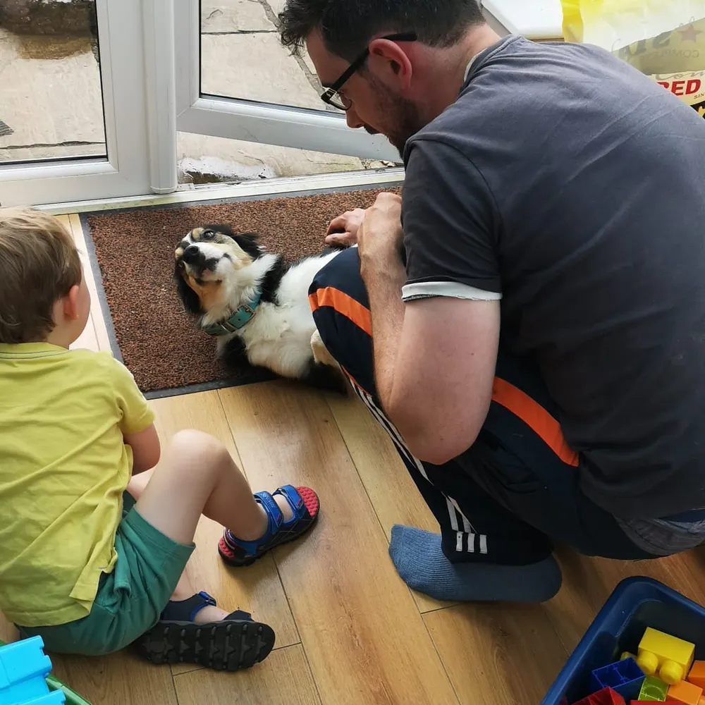 taesaveslives.bsky.social's profile picture