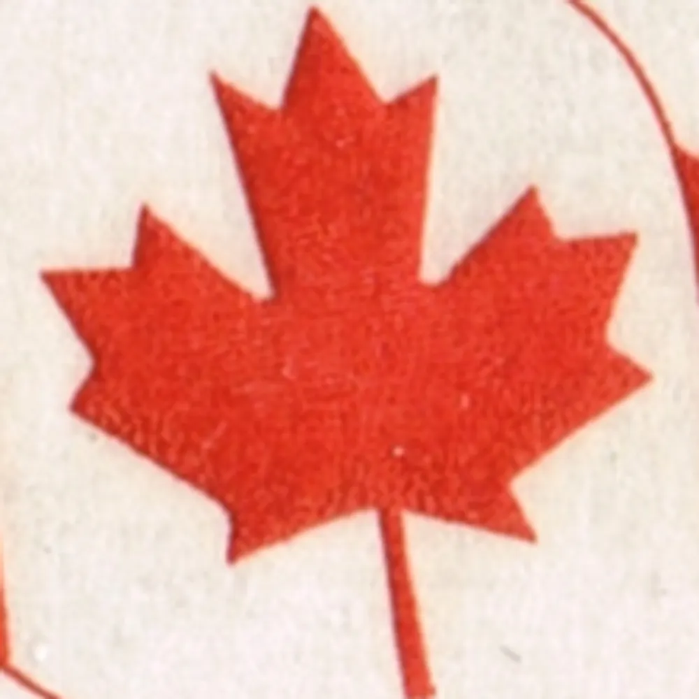 photoline.bsky.social's profile picture